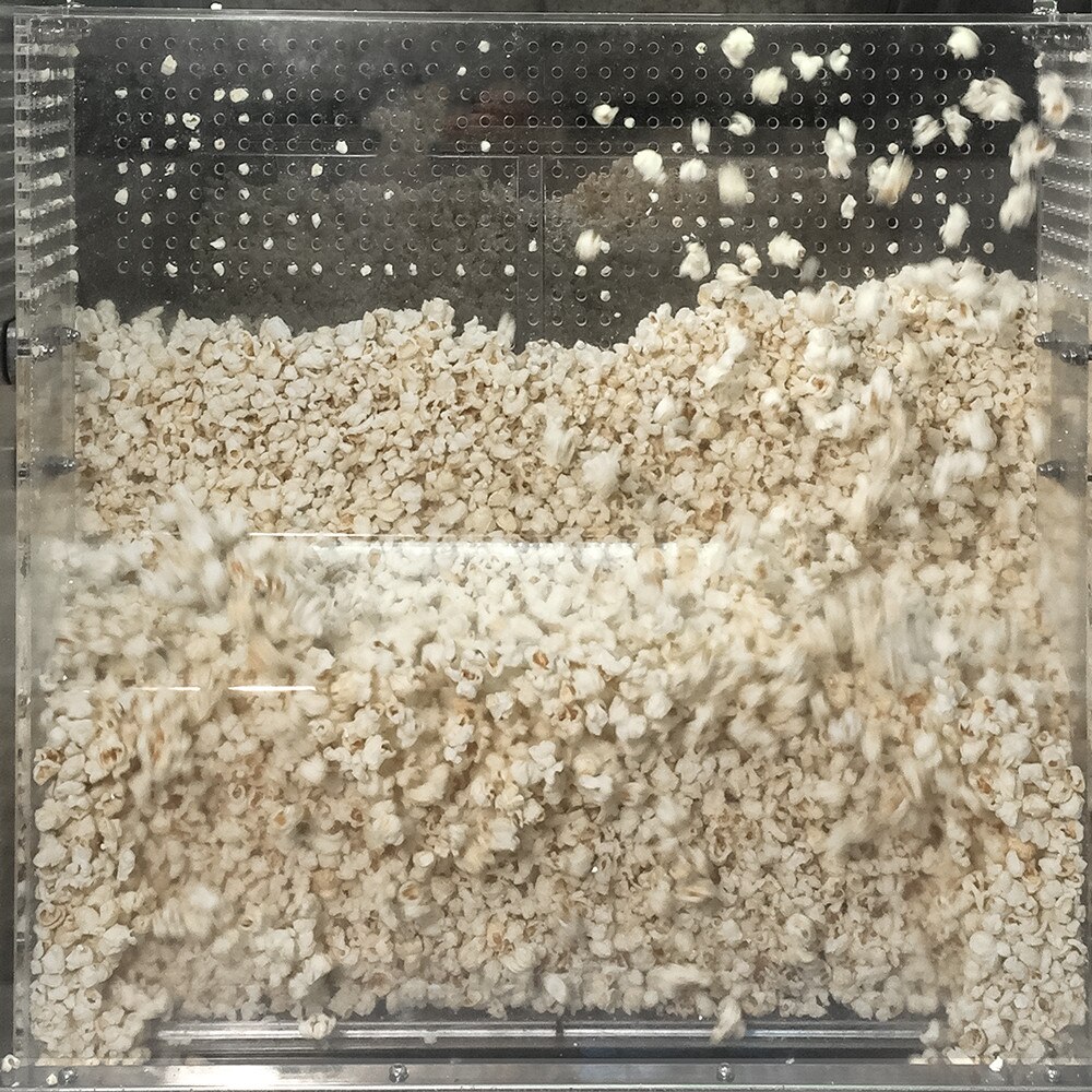 Sephra Theatrical Popcorn Staging Cabinet 1200mm